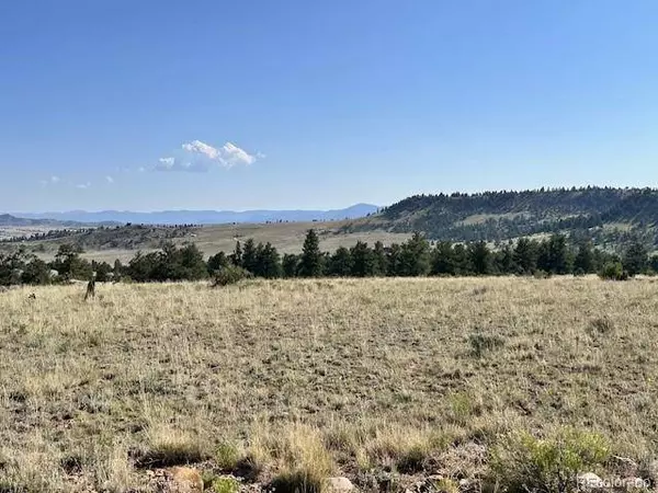 0000 Guipago TRL, Hartsel, CO 80449