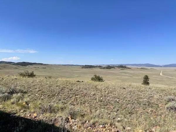 0000 Guipago TRL, Hartsel, CO 80449