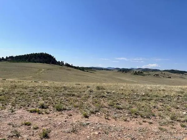 0000 Guipago TRL, Hartsel, CO 80449