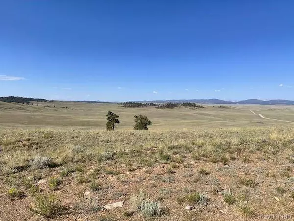 0000 Guipago TRL, Hartsel, CO 80449