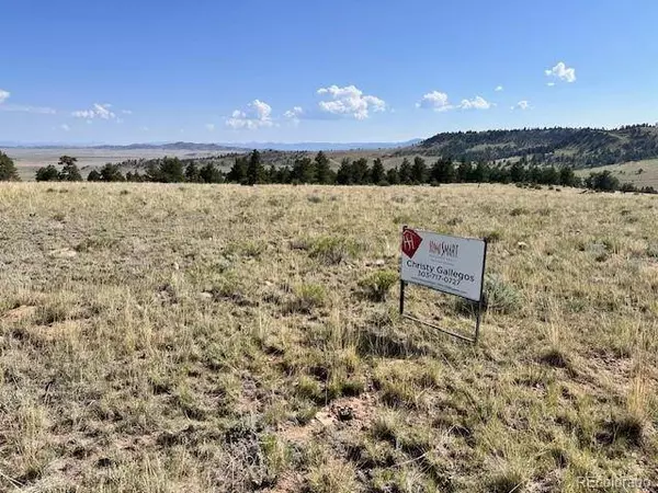 0000 Guipago TRL, Hartsel, CO 80449