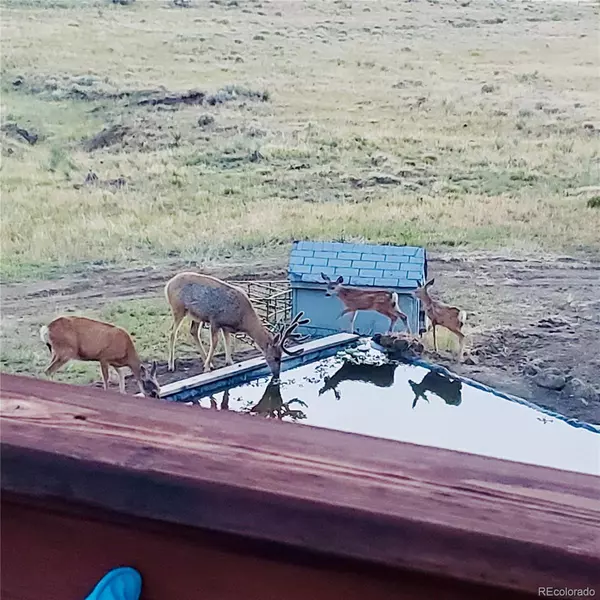 Deer Trail, CO 80105-7937,40291 Gold Nugget Dr