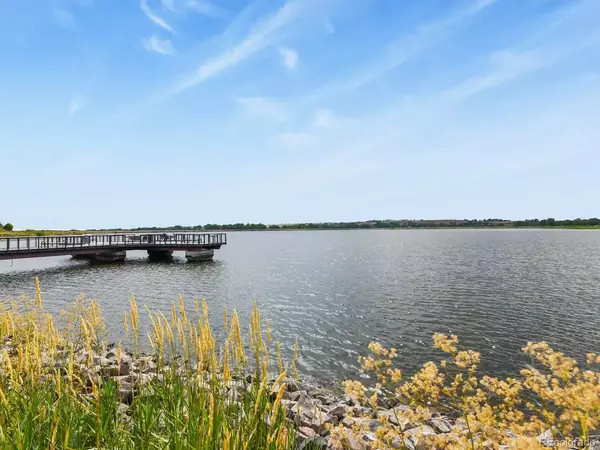 Brighton, CO 80601-4334,1178 Lark Ln