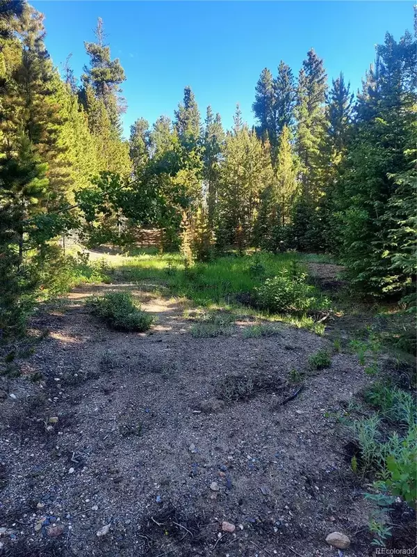 Idaho Springs, CO 80452