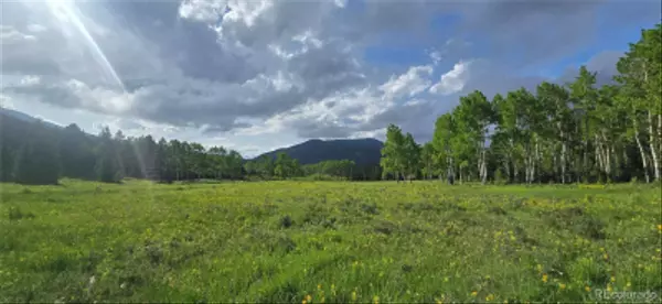 Idaho Springs, CO 80452,Deer Trl