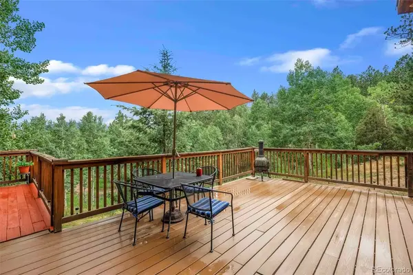 549 Old State Rd, Bailey, CO 80421-1850