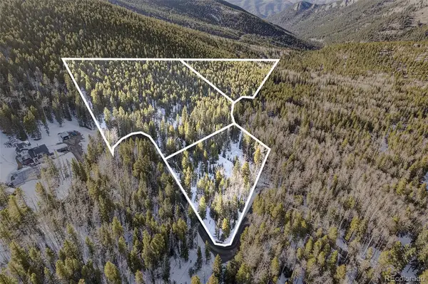 Deer Trl, Idaho Springs, CO 80452