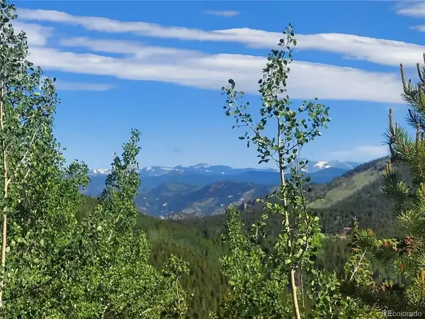 Deer Trl, Idaho Springs, CO 80452
