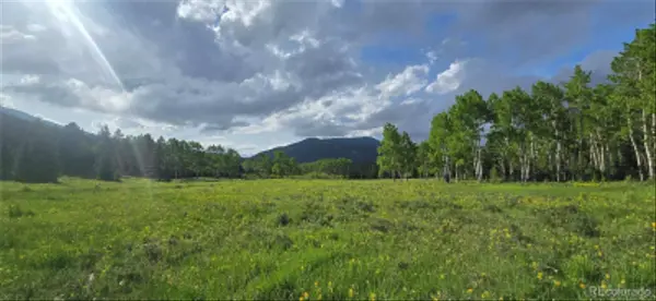 Deer Trl, Idaho Springs, CO 80452