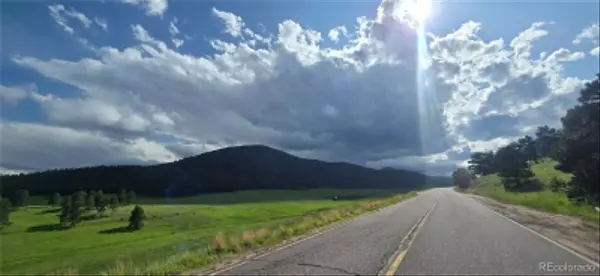 Deer Trl, Idaho Springs, CO 80452