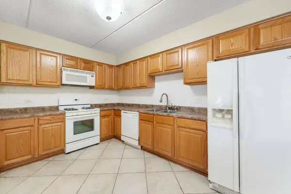 6559 W George ST #309, Chicago, IL 60634