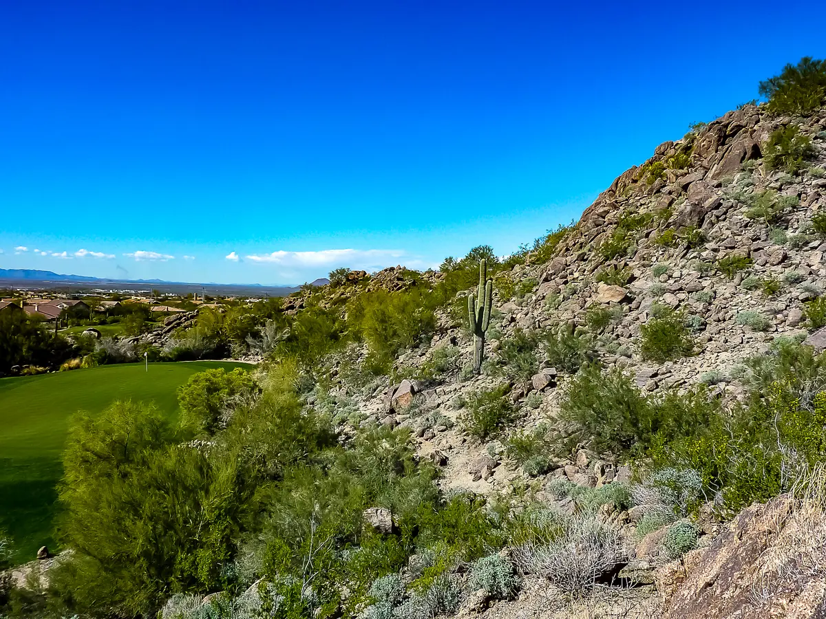 Las-Sendas-Mountain-and-cacti-and-golf