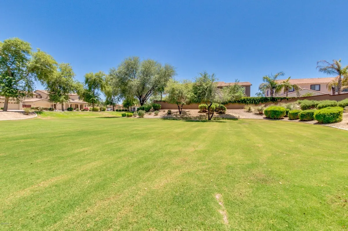 Marbwlla vineyards grassy area