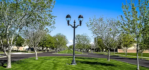 Park median