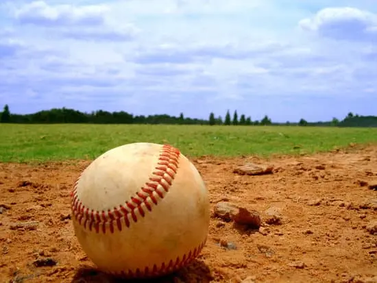 Spring Training in Arizona - What Makes it Special??,David Thomas