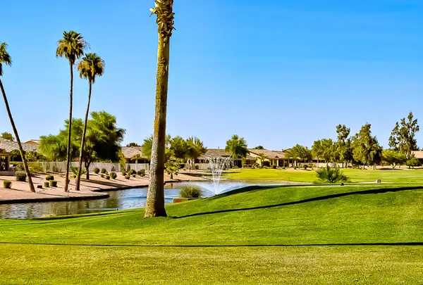 Is an Active Adult Community the Right Choice for You??,David Thomas