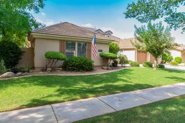 Artificial Turf in the Metro Phoenix Area??