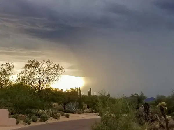Monsoon Season Is Here! What Homeowners Need to Know