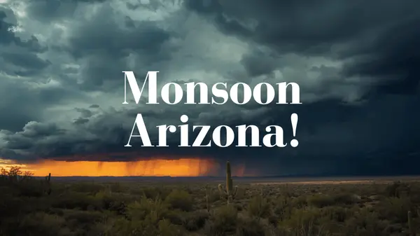 Safety Tips For Arizona's Monsoon