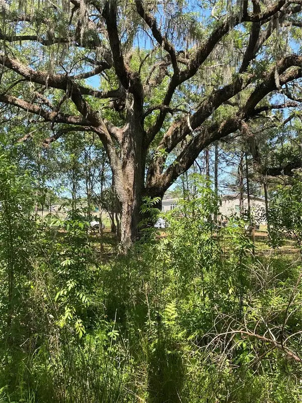 0 WISE OWL RD, Brooksville, FL 34602