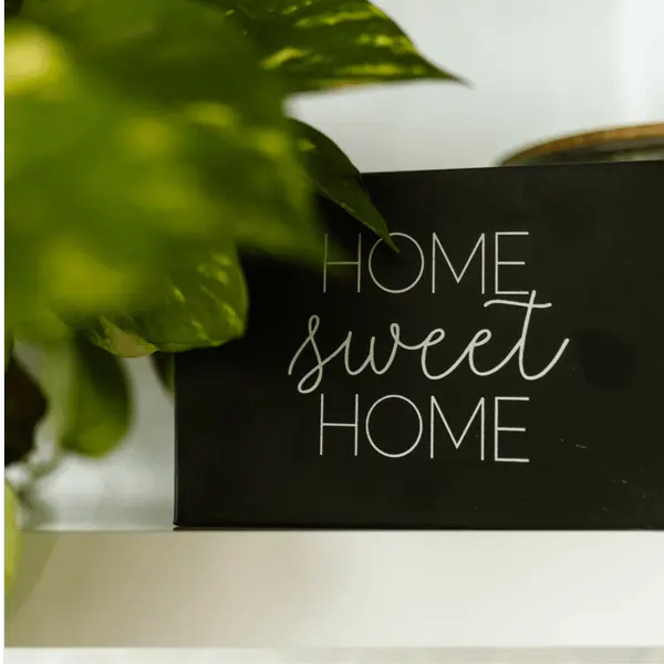 Home Sweet Home: The True Value of Homeownership