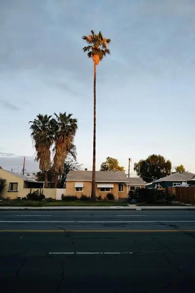 Encino