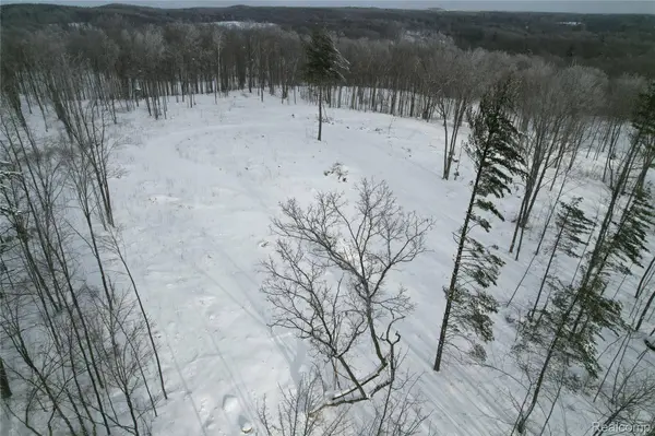 11860 E 22 3/4 RD, Manton, MI 49663