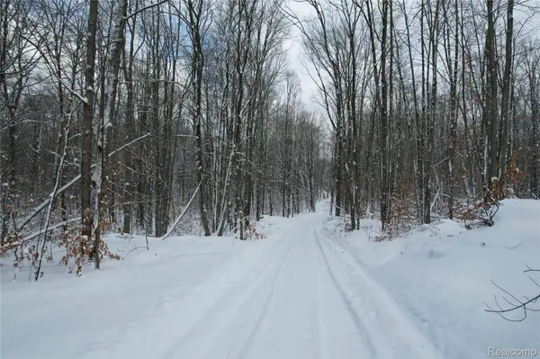 11860 E 22 3/4 RD, Manton, MI 49663