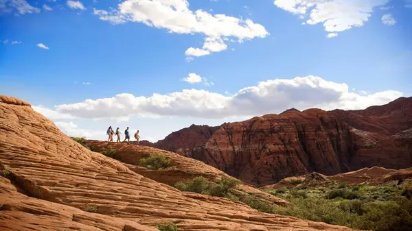 Utah Mortgage Rates in 2025: From Highs to a Promising Drop,Dana Johns-Szucs