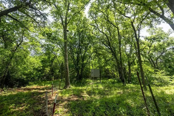 479 Siebman Road, Sadler, TX 76264