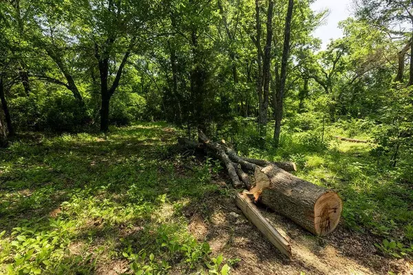 479 Siebman Road, Sadler, TX 76264