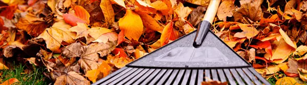 Don't Let Winter Catch You Off Guard: Your Complete Fall Home Protection Checklist for Northern Virginia