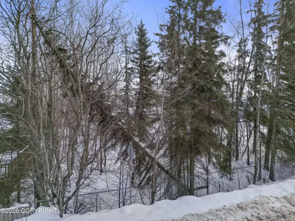 3 Unknown ST, Anchorage, AK 99517