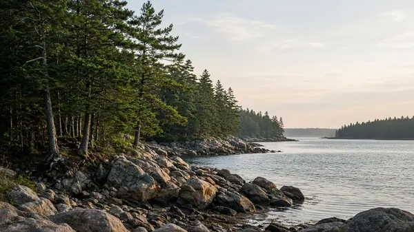 joshua-cousineau-portland-me-community-freeport