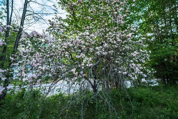 712 Main ST, Sumner, ME 04292