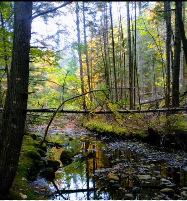 463 Clover Mill RD, Farmington, ME 04938