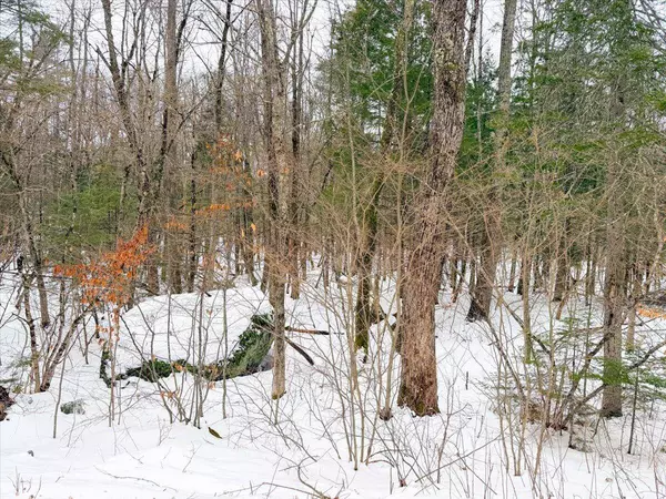 M10 L35 Plains RD, Poland, ME 04274