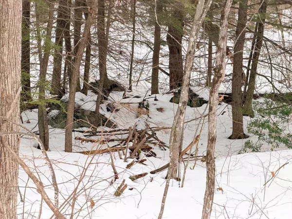 M10 L35 Plains RD, Poland, ME 04274