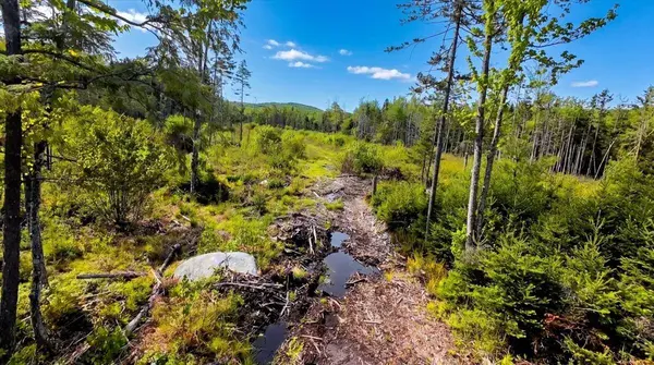 R13- 30.2 Buckfield RD, Paris, ME 04281
