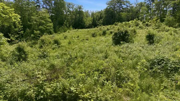 273 Wiley RD, Greene, ME 04236