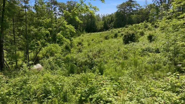 273 Wiley RD, Greene, ME 04236