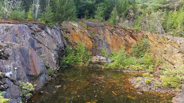 M9 L71 East Dixfield RD, Jay, ME 04239