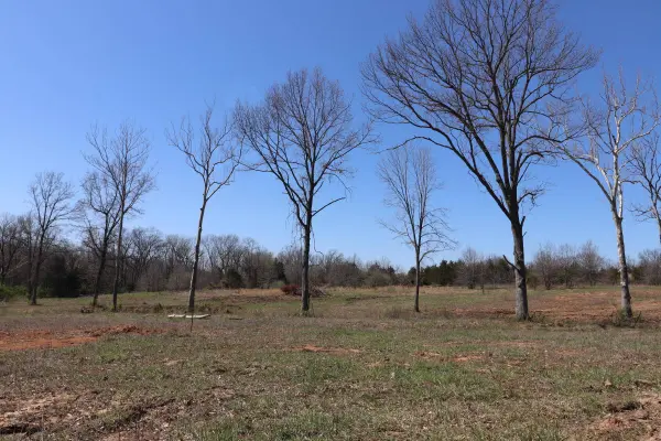 Greenwood Hills Lot#19, Fulton, MO 65251