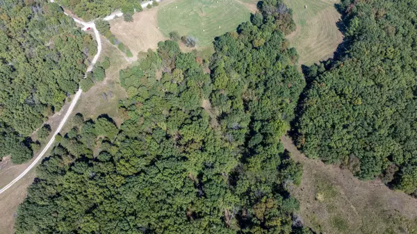 4.67 +/- Acres Tract 1, CR 146, Williamsburg, MO 63388