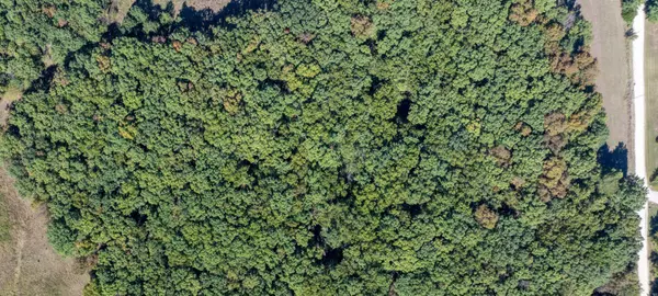 5 +/- Acres Tract 6, CR 144, Williamsburg, MO 63388