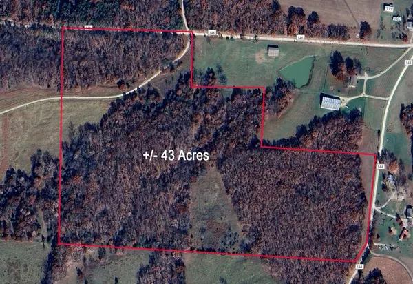 43 +/- ACRES TRACT 8, CR 146, Williamsburg, MO 63388