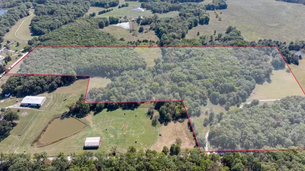 43 +/- ACRES TRACT 8, CR 146, Williamsburg, MO 63388