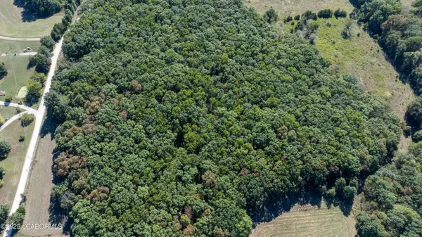 TBD 16 +/- ACRES -TRACT 7 - CR 144, Williamsburg, MO 63388