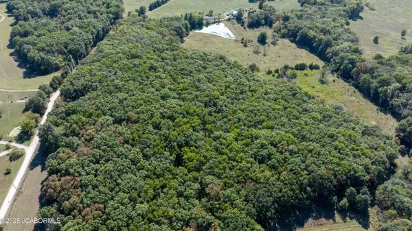 TBD 16 +/- ACRES -TRACT 7 - CR 144, Williamsburg, MO 63388