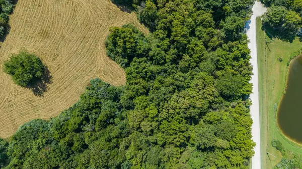 Tract 3 4.24 Ac County Rd 4008